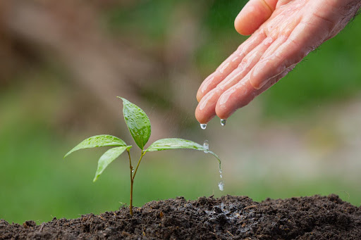 ESG – Chìa Khóa Vàng Cho Sự Phát Triển Bền Vững Trong Kỷ Nguyên Mới